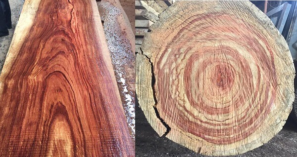 gỗ nguyên liệu hương vân