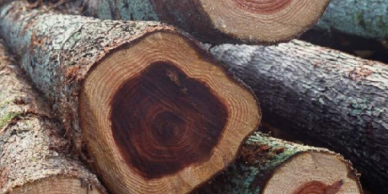 gỗ gu gỗ nguyên liệu nội thất